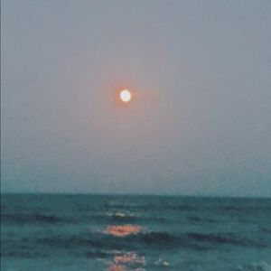 Meet your Posher, Camden